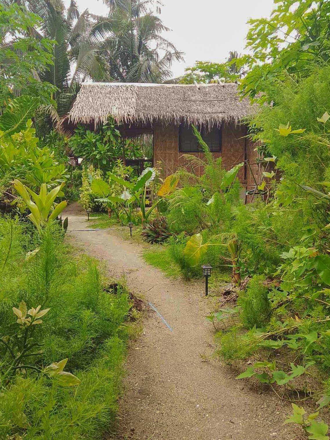 לינה וארוחת בוקר San Isidro  Coleto Siargao מראה חיצוני תמונה