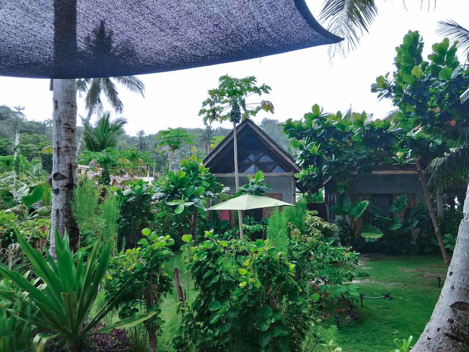 לינה וארוחת בוקר San Isidro  Coleto Siargao מראה חיצוני תמונה