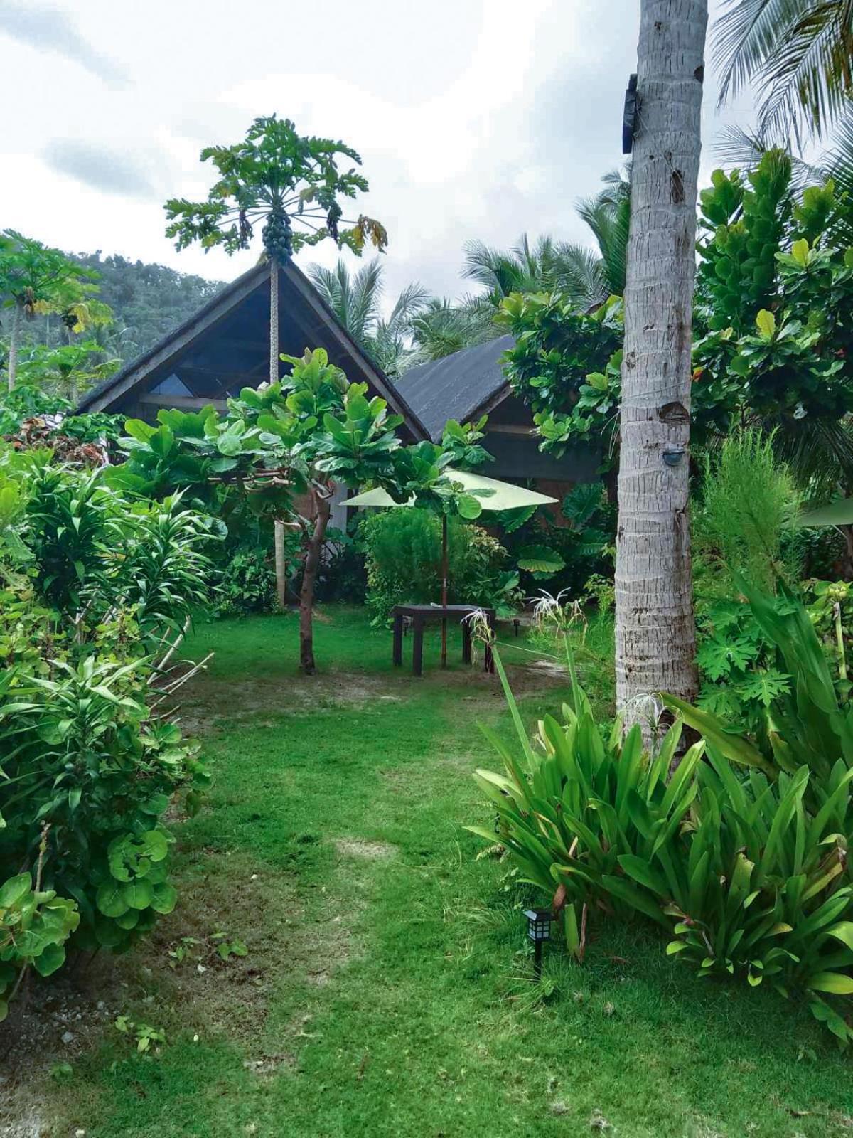 לינה וארוחת בוקר San Isidro  Coleto Siargao מראה חיצוני תמונה