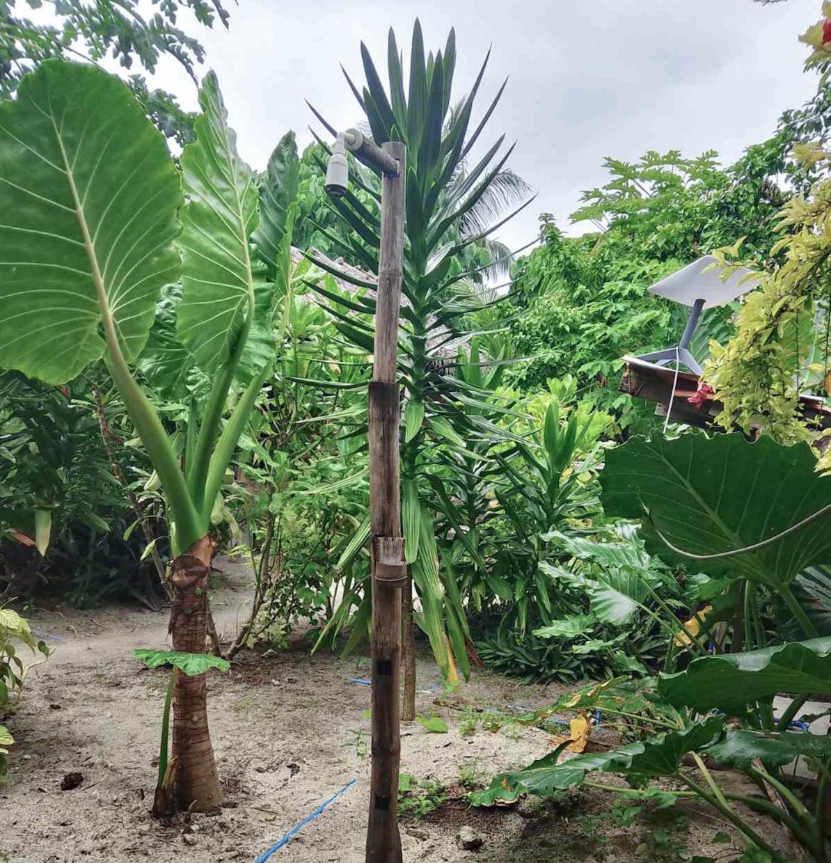 לינה וארוחת בוקר San Isidro  Coleto Siargao מראה חיצוני תמונה