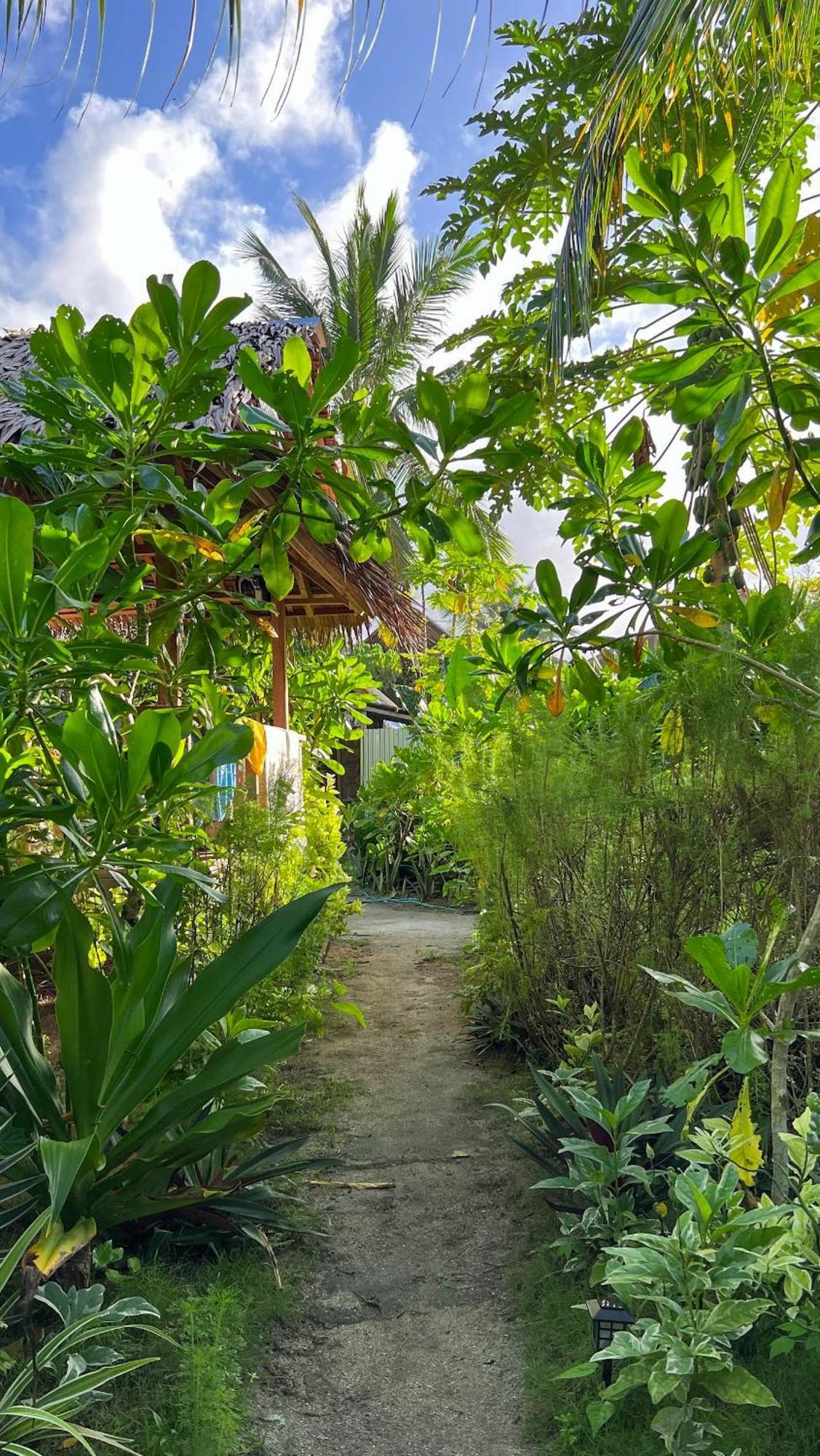 לינה וארוחת בוקר San Isidro  Coleto Siargao מראה חיצוני תמונה