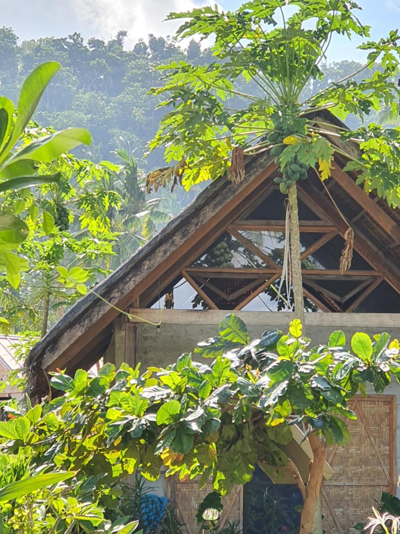 לינה וארוחת בוקר San Isidro  Coleto Siargao מראה חיצוני תמונה